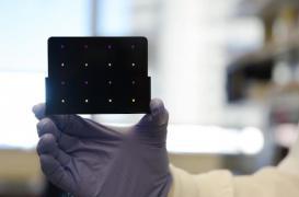 Zika : un nouveau test de dépistage rapide et peu coûteux