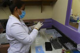 Zika : une protéine humaine bloquerait sa réplication 