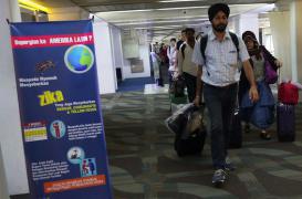 Zika : près de 3 milliards de personnes menacées par le virus