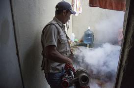 Zika : un premier cas de transmission sexuelle au Chili 