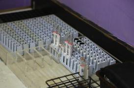 Floride : enquête en cours sur deux cas autochtones de Zika