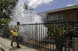 Zika : les femmes enceintes doivent éviter un quartier de Miami 