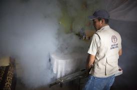 Zika : le réchauffement climatique favorise son arrivée en Europe