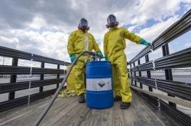 Guadeloupe : 700 femmes enceintes infectées par Zika