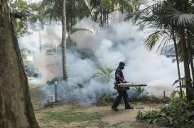Malaisie : un premier cas autochtone de Zika signalé