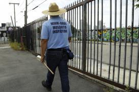 Miami : un épandage d'insecticide prévu pour lutter contre Zika