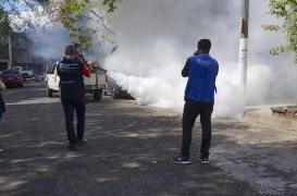 Zika : 60 pays touchés depuis le début de l'année