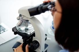 Zika : le sperme altéré plusieurs mois après l'infection 