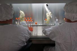 Zika : un vaccin candidat assure une protection totale chez le singe