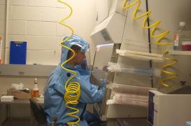 Ebola : le ZMapp réduit la mortalité de 40 % 