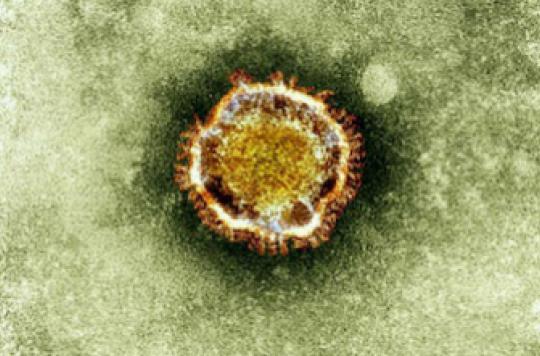 Le coronavirus MERS progresse au Moyen-Orient
