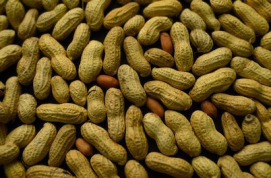 Allergies : donner des cacahuètes aux bébés pour les éviter 