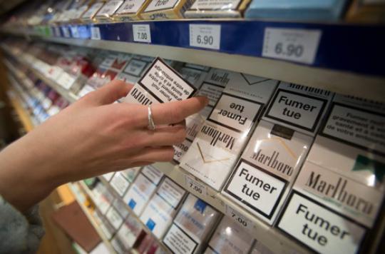 Cigarettes : l'impact des paquets neutres sur la consommation 