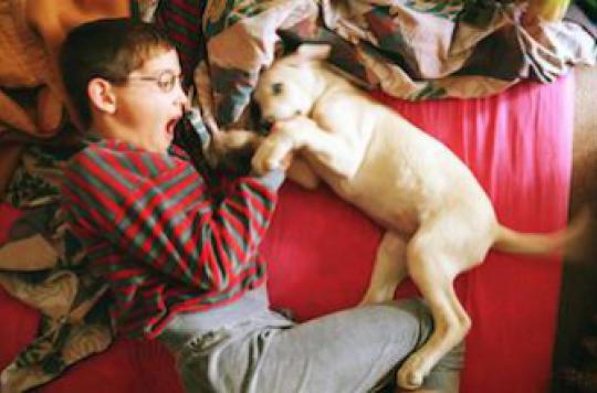 Asthme allergique : la fourrure animale protège les tout-petits