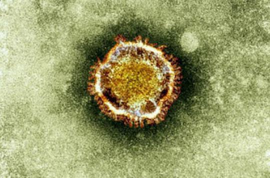 Coronavirus : le scénario d\'une pandémie mondiale s\'éloigne