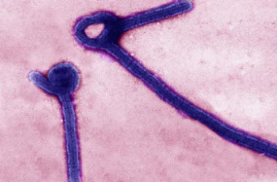 Ebola : déclin radical de l’épidémie