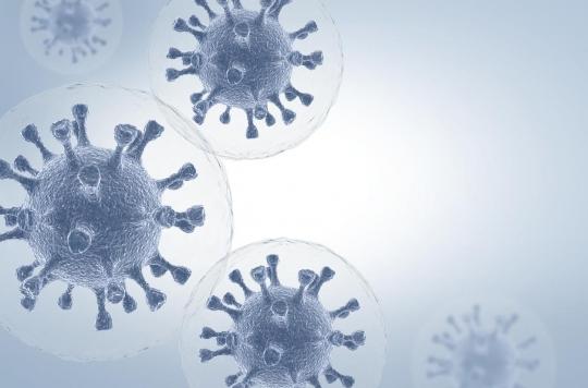 Un virus hybride issu de deux variants du SARS-CoV-2 repéré en Californie