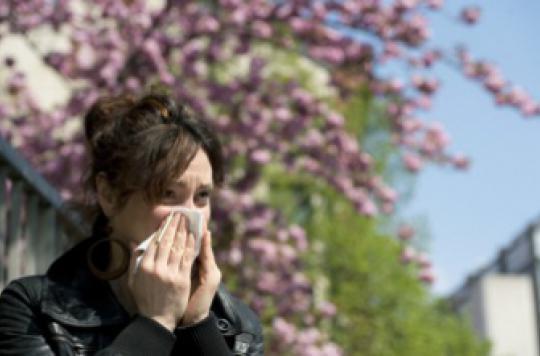 Pollen : comment se déclenche une réaction allergique