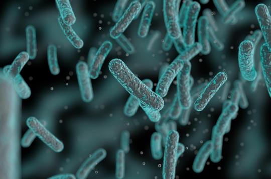 Une nouvelle molécule tue cinq super-bactéries résistantes aux médicaments