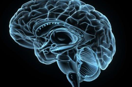 Alzheimer : vers un médicament pour éviter les caillots dans le cerveau