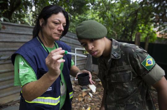 Zika : le Brésil déclare la guerre au virus