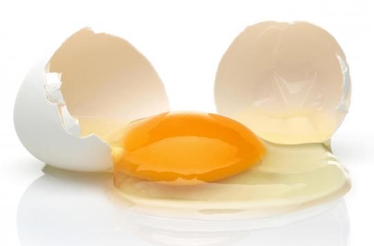 Mangerons-nous bientôt des œufs vegan ? 