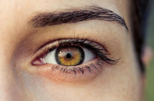  Comment détecter l’athérosclérose grâce à un examen de l’œil ?