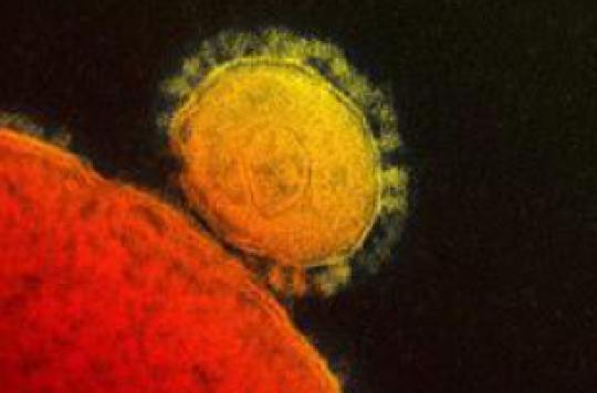 Le  premier cas de coronavirus en Grèce