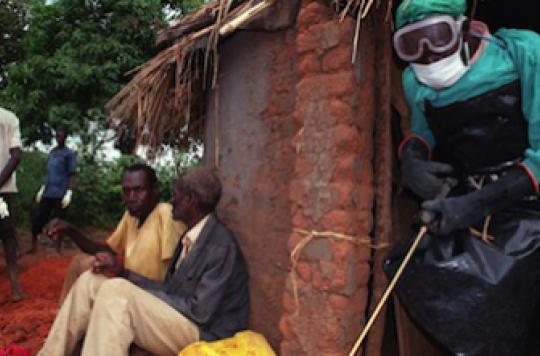 Ebola : les chercheurs ont établi la chaîne de transmission du virus