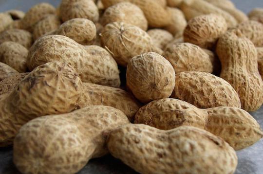 Allergie : un patch pour améliorer la tolérance aux cacahuètes 