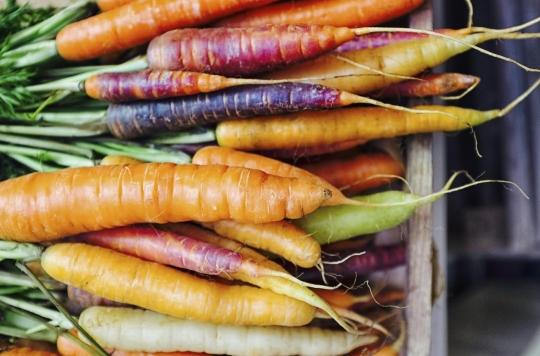 Lutte contre la pollution : le ministre de la Santé indien préconise de manger des carottes  