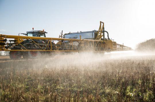 Glyphosate: the vote on the renewal of authorization canceled