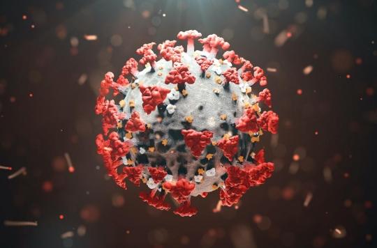 Covid-19: L’activation des cellules immunitaires dans la forme sévère fonctionne comme pour le Lupus