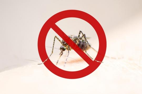 Virus de la dengue : une première contamination par voie sexuelle en Espagne