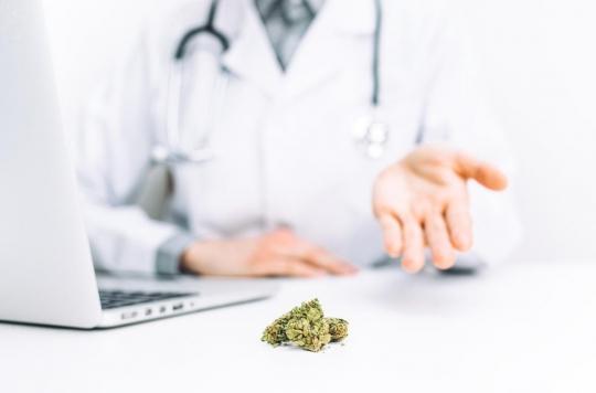 L’expérimentation du cannabis thérapeutique sera proposée au budget de la Sécurité sociale 