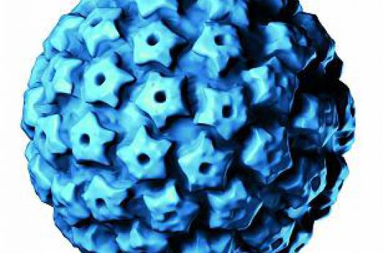 Cancer du col de l'utérus : le test HPV plus efficace que le frottis