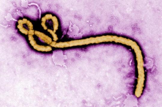 Ebola : la RD Congo face à une nouvelle épidémie 
