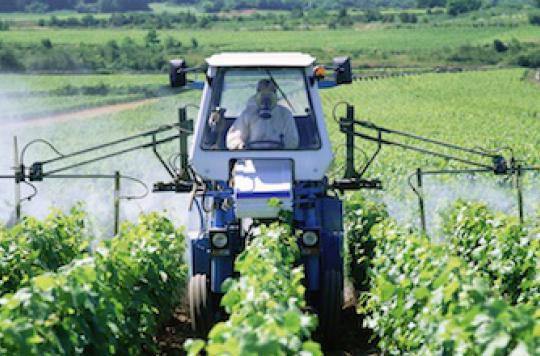 Pesticides : une étude alarmante sur leur toxicité