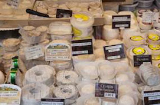 E Coli : retrait d'un fromage de chèvre contaminé
