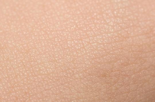 Votre peau : comment ses cellules immunitaires manoeuvrent pour vous protéger des infections
