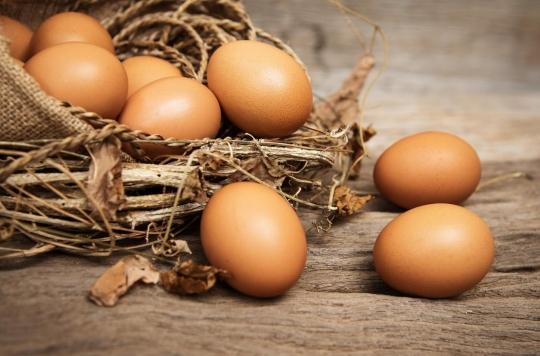 Cholestérol : la plupart des études sur les œufs seraient erronées 
