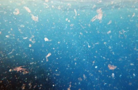 Des microplastiques retrouvés dans les eaux souterraines qui alimentent les sources potables