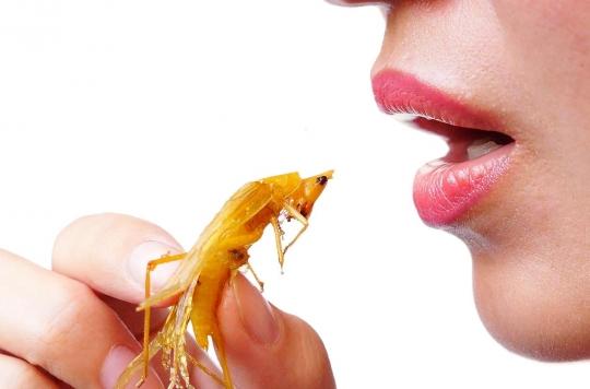 Les insectes comestibles seraient meilleurs pour la santé que de nombreux aliments  