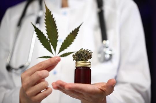 Antibiorésistance : de nouveaux médicaments à base de cannabis ? 