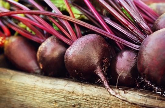 Nutrition: the benefits of beets on sports performance  