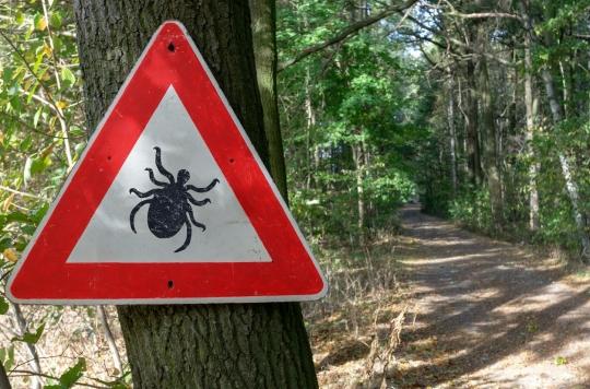 Maladie de Lyme : aux Etats-Unis, les tiques ont-elles été utilisées comme arme biologique ? 