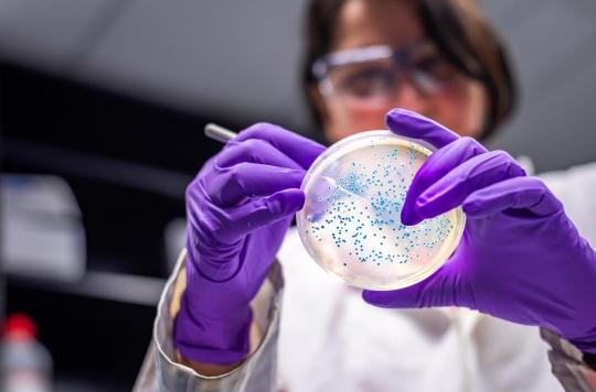 Superbactéries : l’OMS alerte sur le manque d’antibiotiques efficaces