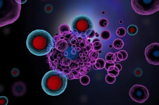 Les vésicules extracellulaires, nouvelle piste thérapeutique contre le cancer