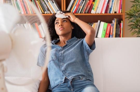 En Cas De Fortes Chaleurs Les Ventilateurs Ne Sont Pas Toujours Efficaces