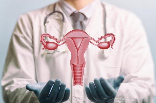 Cancer de l'endomètre : le microbiote vaginal serait un bon indicateur lors du dépistage